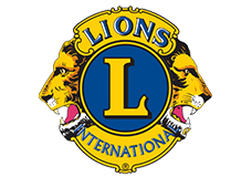 lions with Bada Business